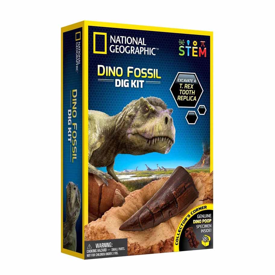 National Geographic: Dino Fossil Dig Kit