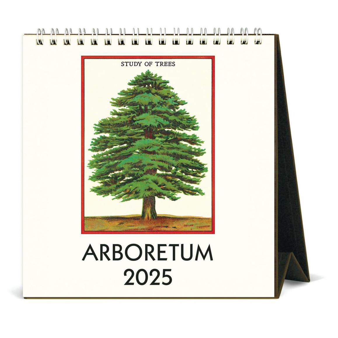 Cavallini Arboretum 2025 Desk Calendar