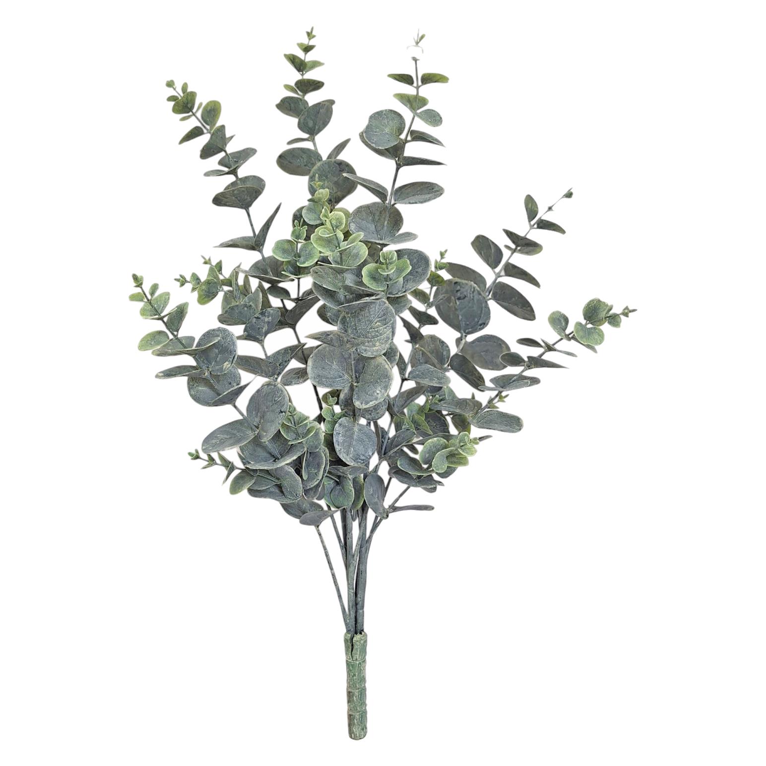 Alison's Acquisitions Eucalyptus Bush - Grey/Green