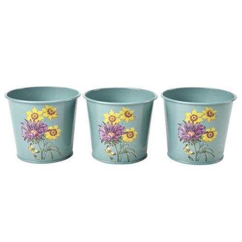 Burgon & Ball RHS Gift Herb Pots Asteraceae