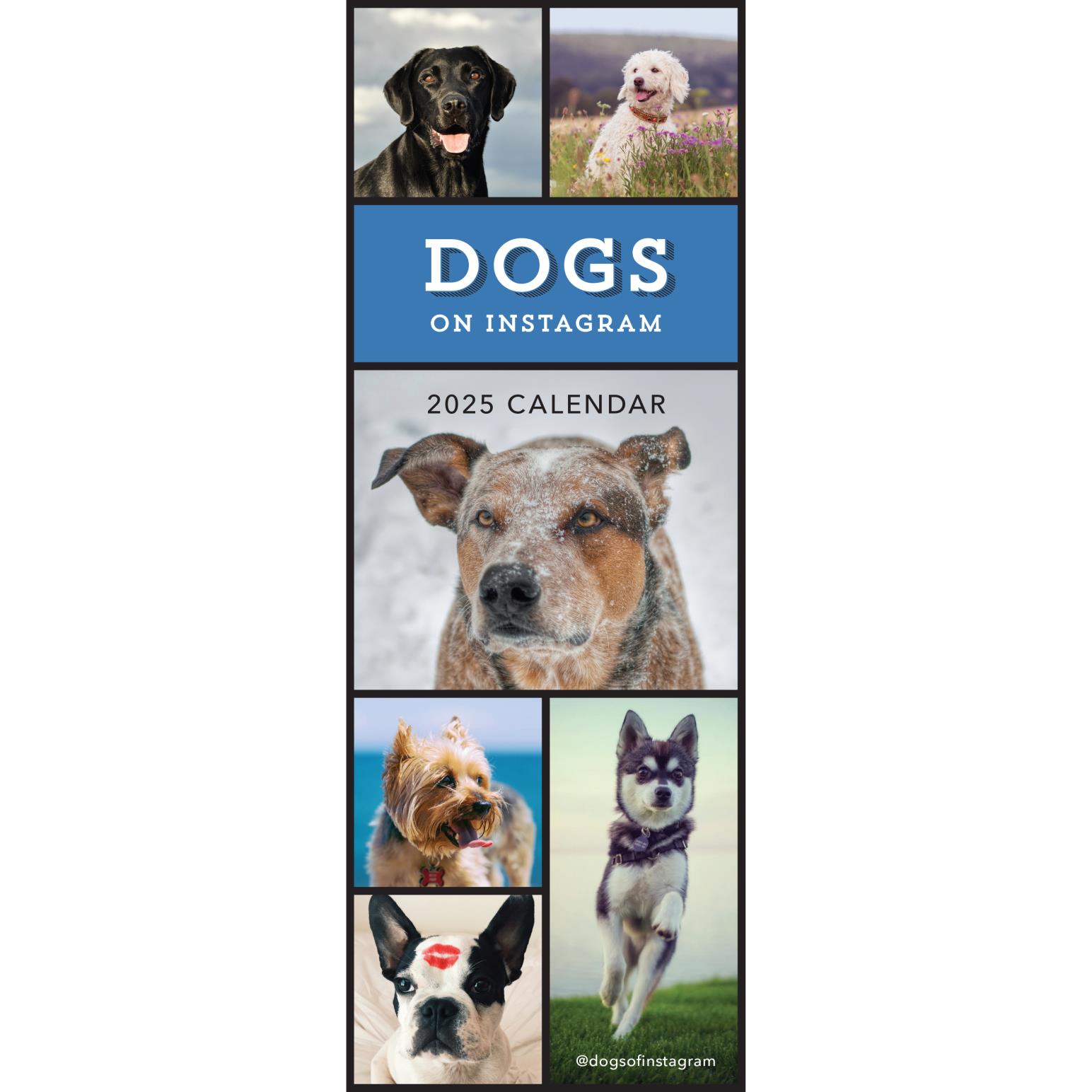 Image Gallery Dogs On Instagram Slim Calendar 2025