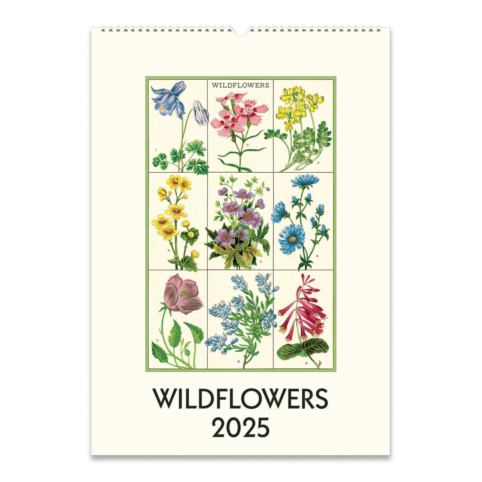 Cavallini Wildflowers 2025 Wall Calendar