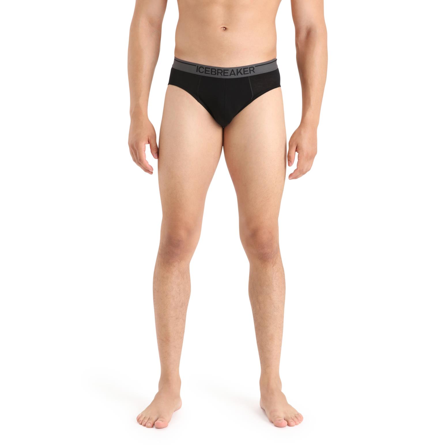 Icebreaker Mens Anatomica Briefs