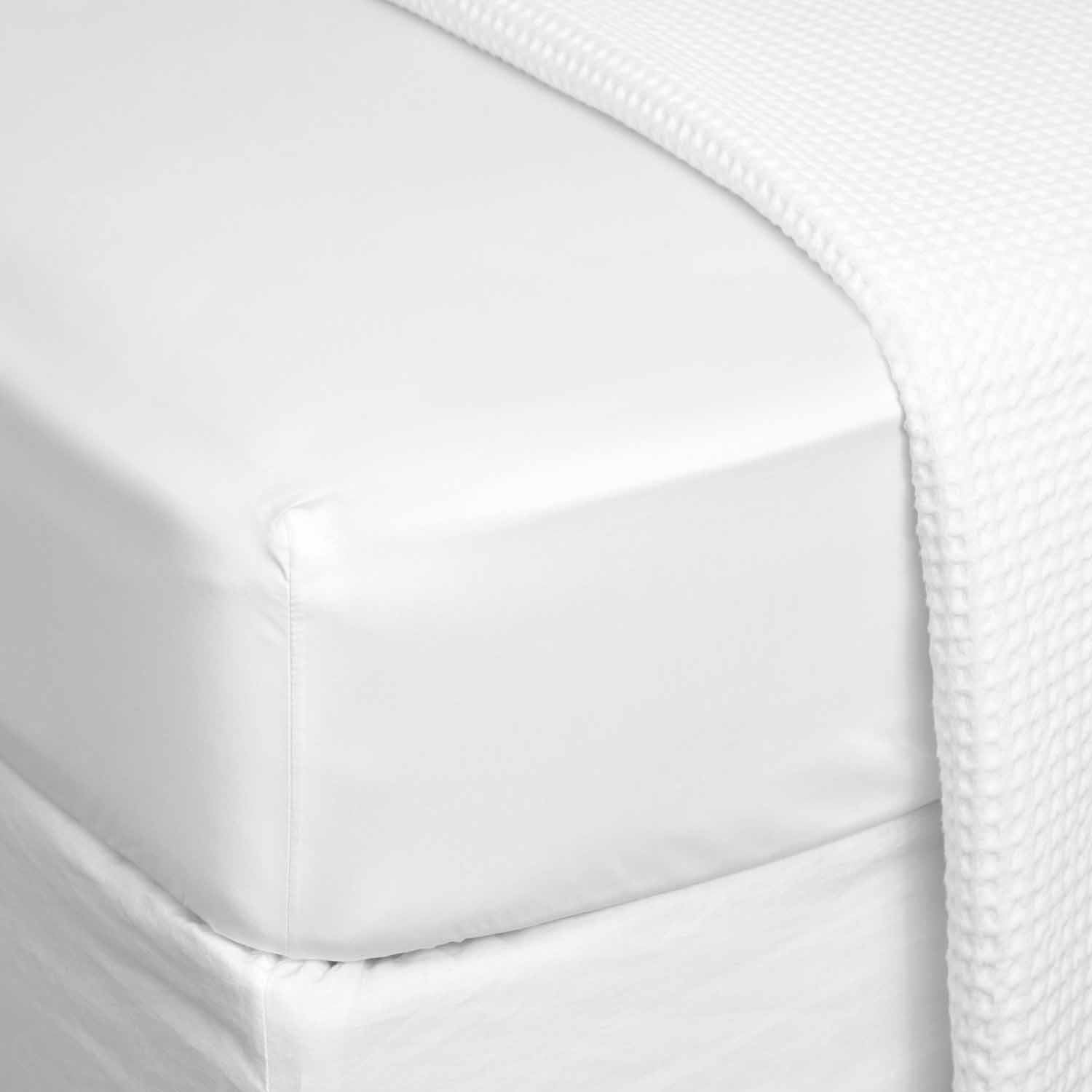 Wallace Cotton Monarch Sateen Fitted Sheet