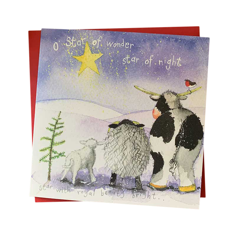 Christmas Cards Pack Of 5 Star Of Night