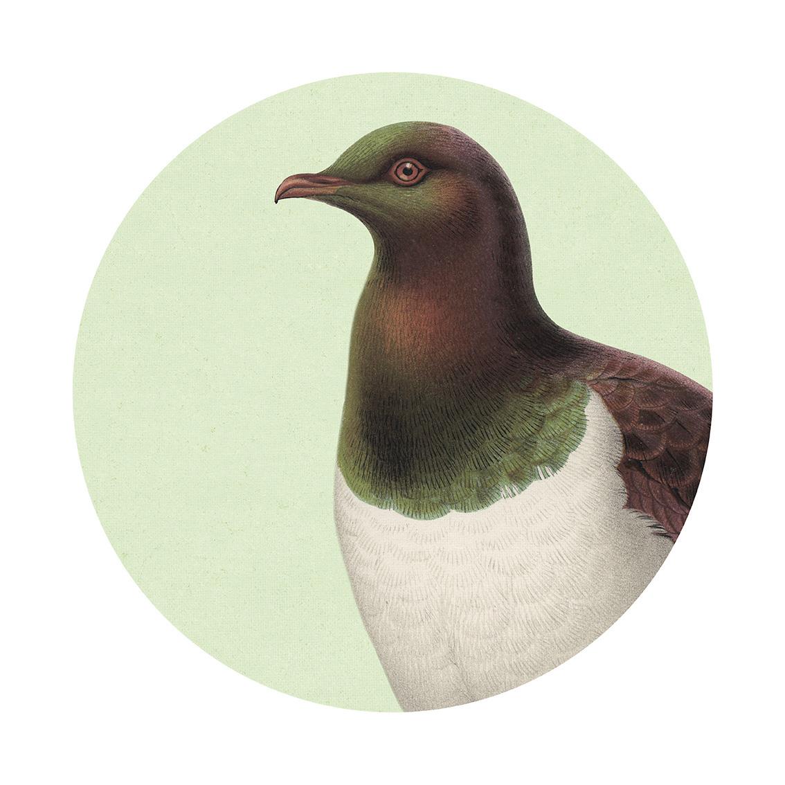 Hushed Green Kereru Art Spot Medium