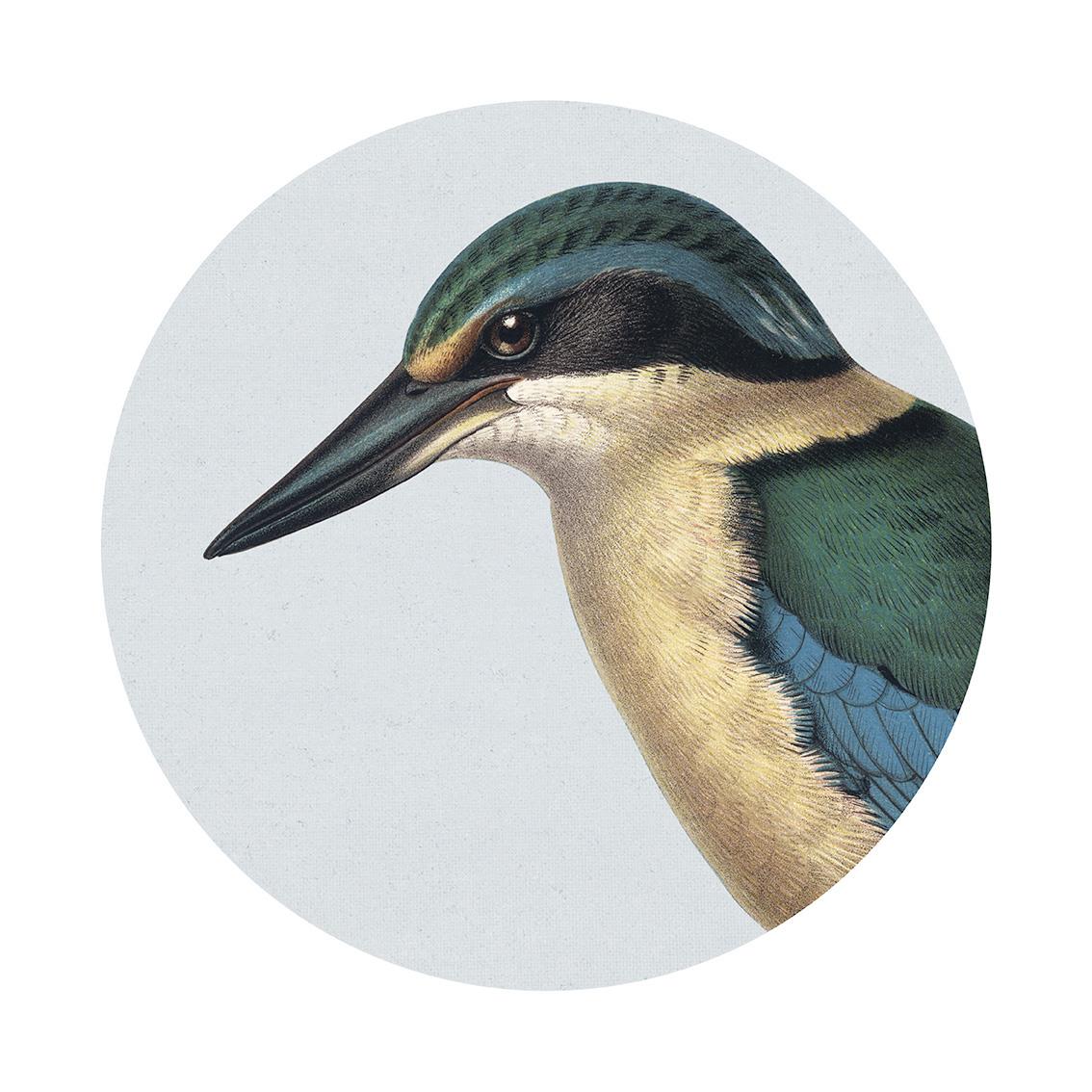 Hushed Blue Kingfisher Art Spot Medium