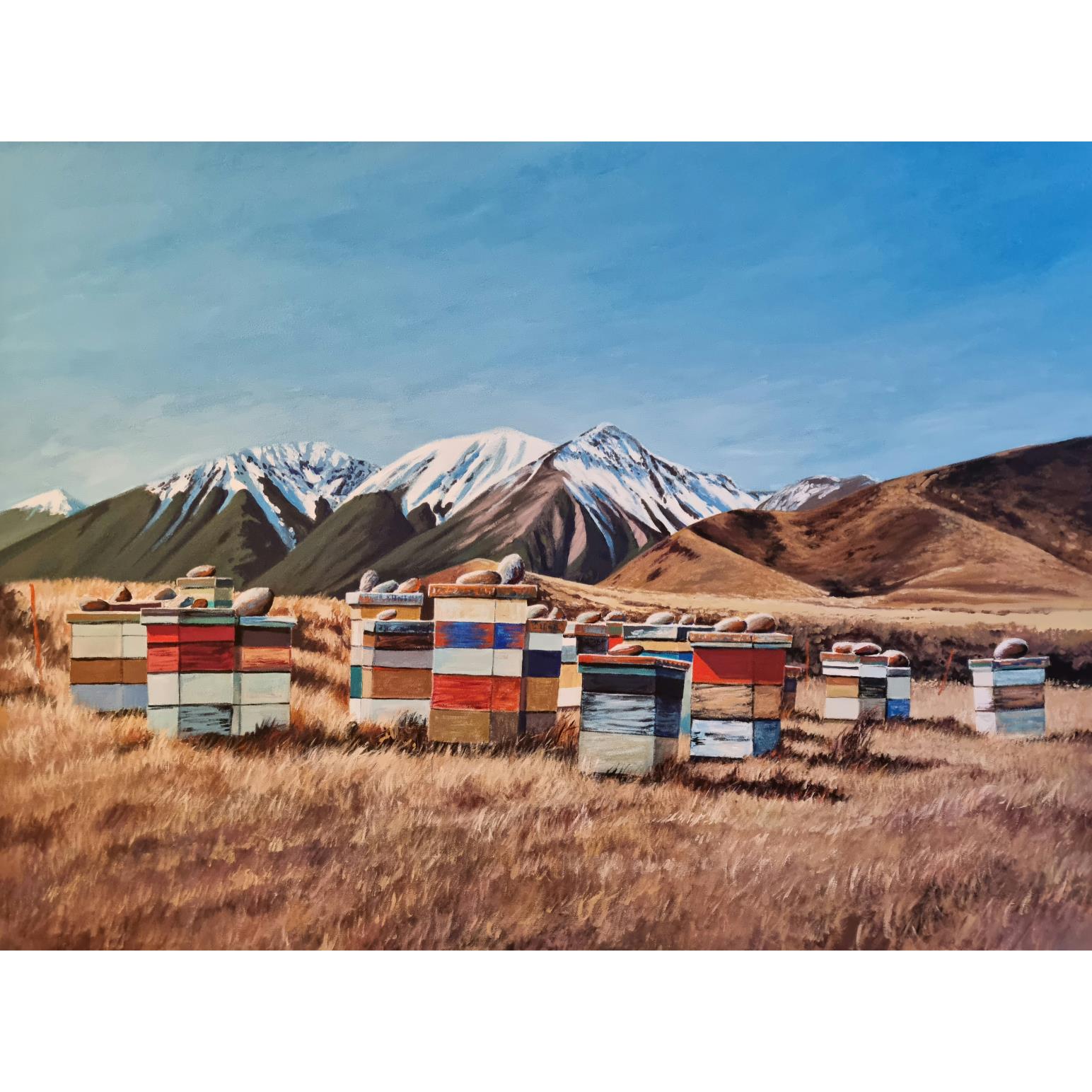 Kelvin McMillan Unframed Print Beehives Craigieburn 300x200mm