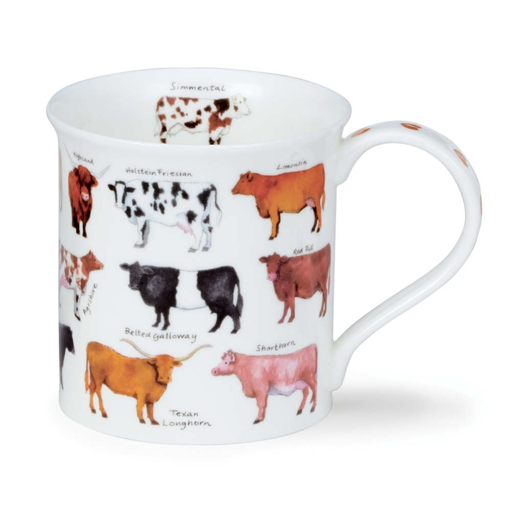 Dunoon Bute Animal Breeds Cattle Mug