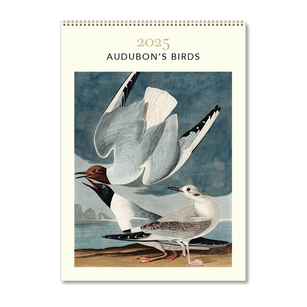 Audubon's Birds HS Medium Calendar