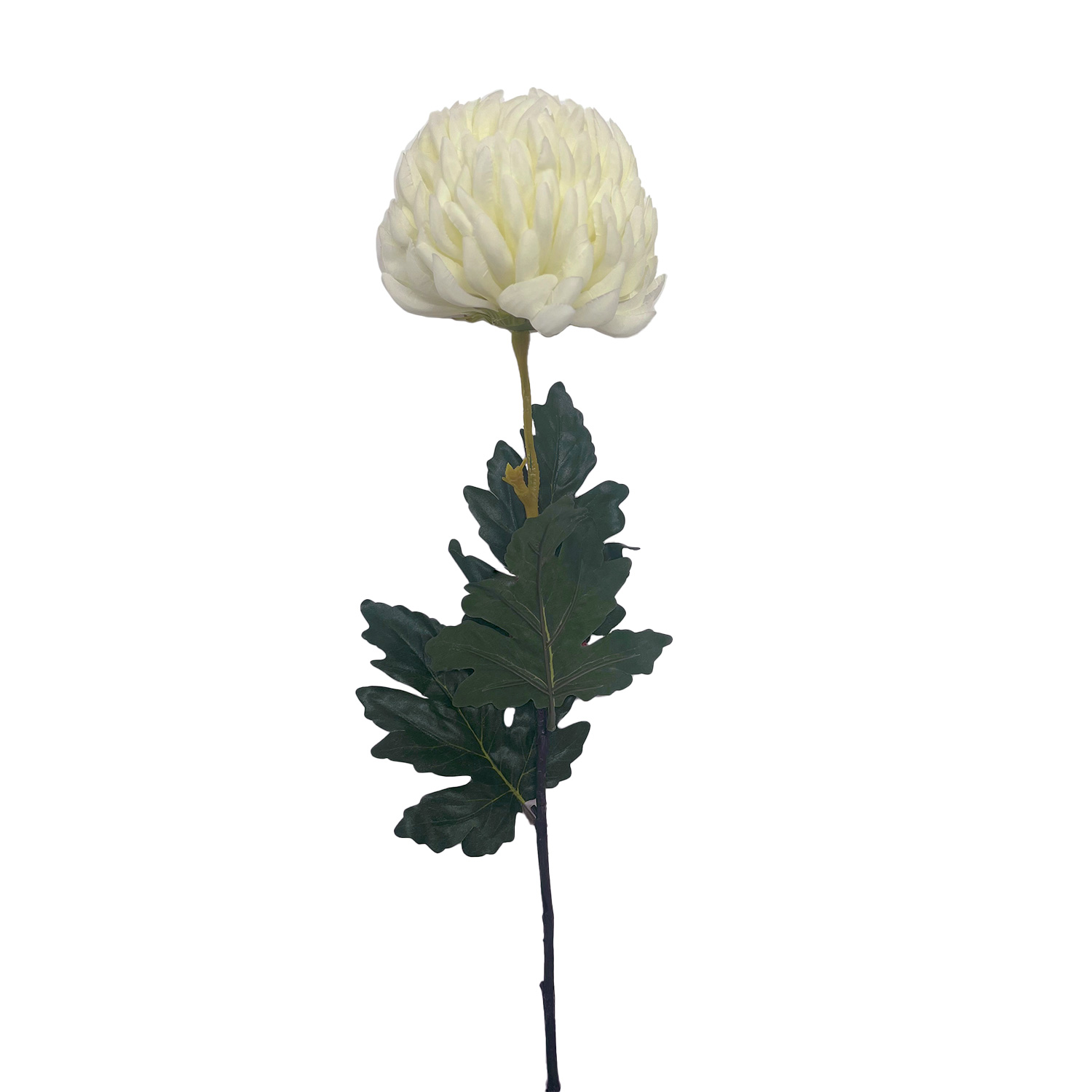 ImPres Chrysanthemum Stem Large Head White