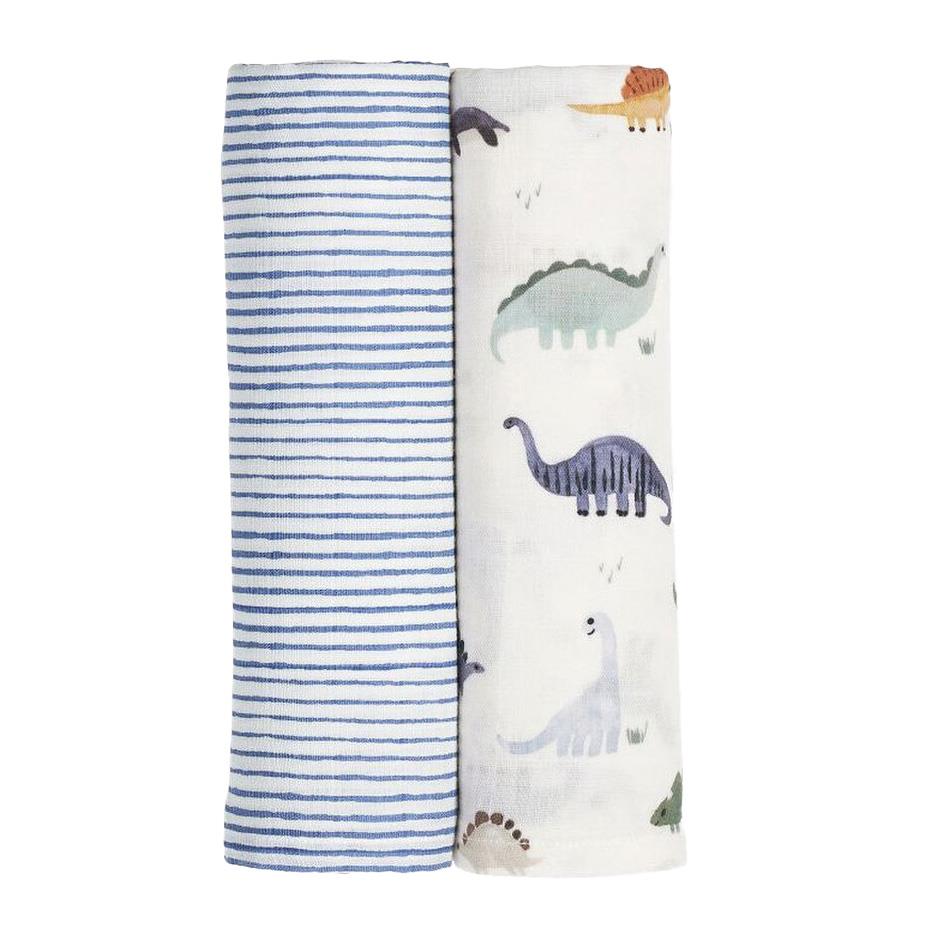 Pottery Barn Kids Organic Dillon Dino Swaddle Set Of 2