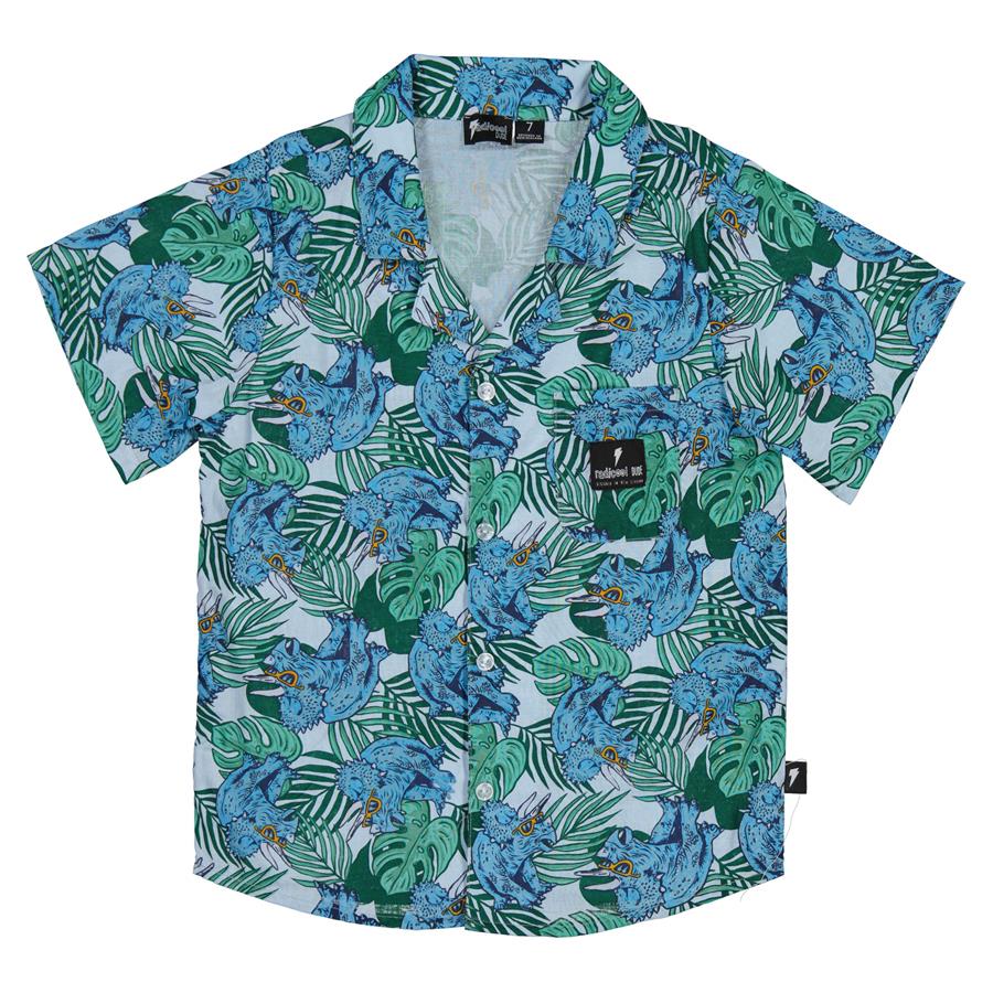 Radicool Dude Dino Tourist Shirt