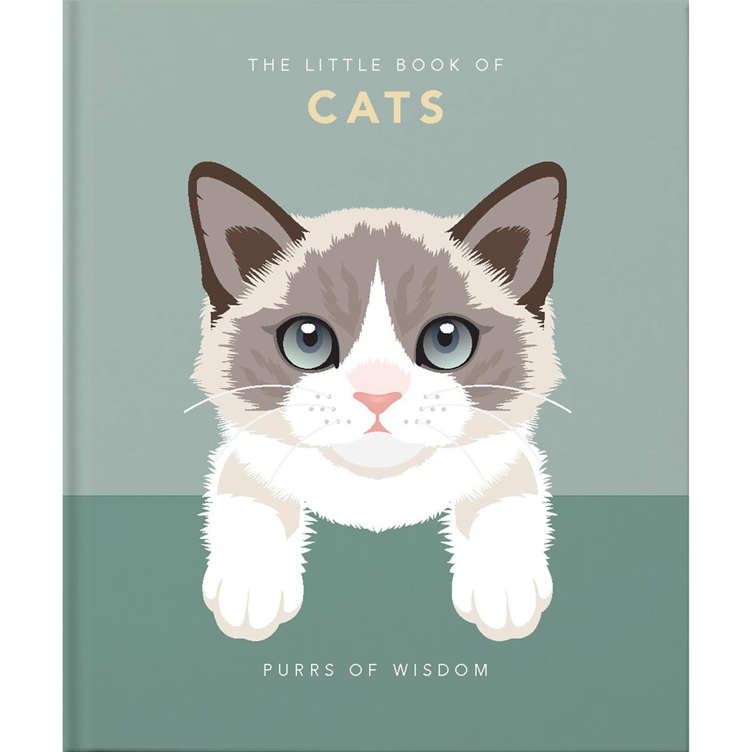 Little Book Of Cats