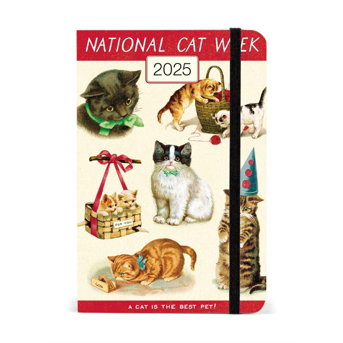 Cavallini Cats 2025 Weekly Planner