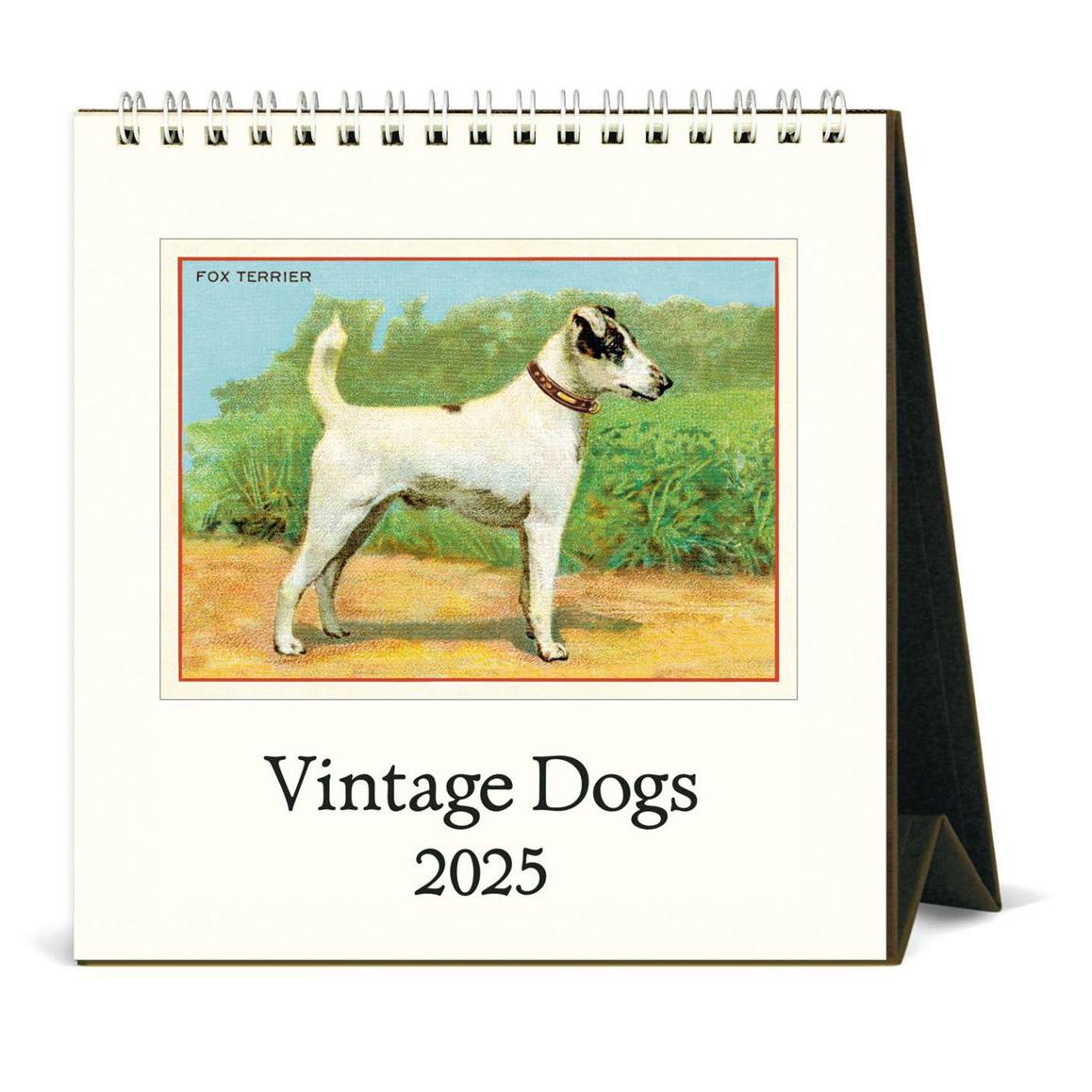 Cavallini Vintage Dogs 2025 Desk Calendar