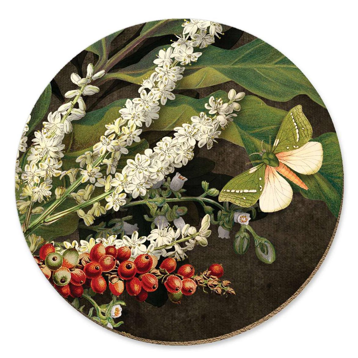 Tanya Wolfkamp Nikau Berries Kohekohe Ti Kouka Coaster