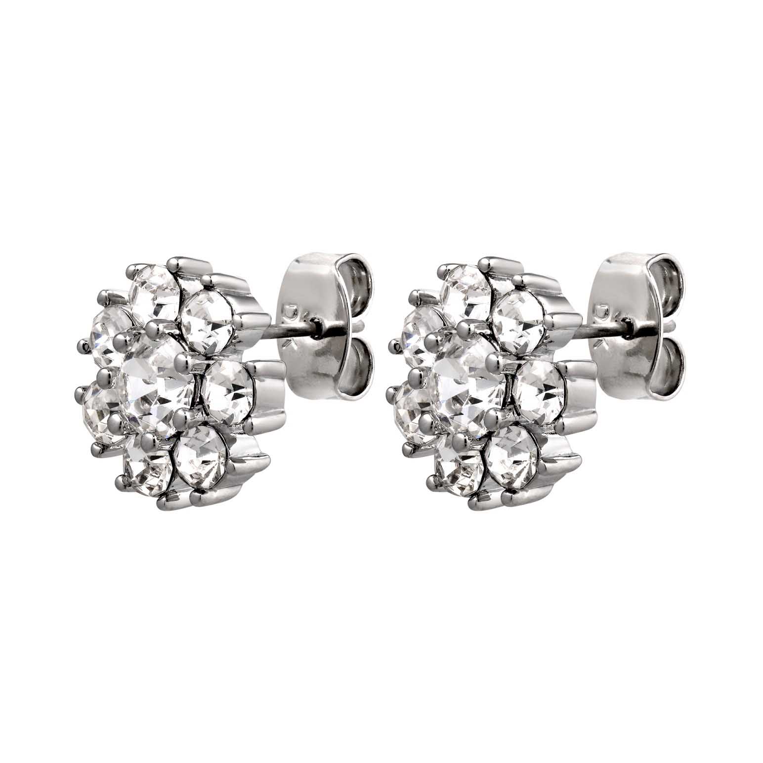 Dyrberg Kern Carnea Ss Crystal Earring