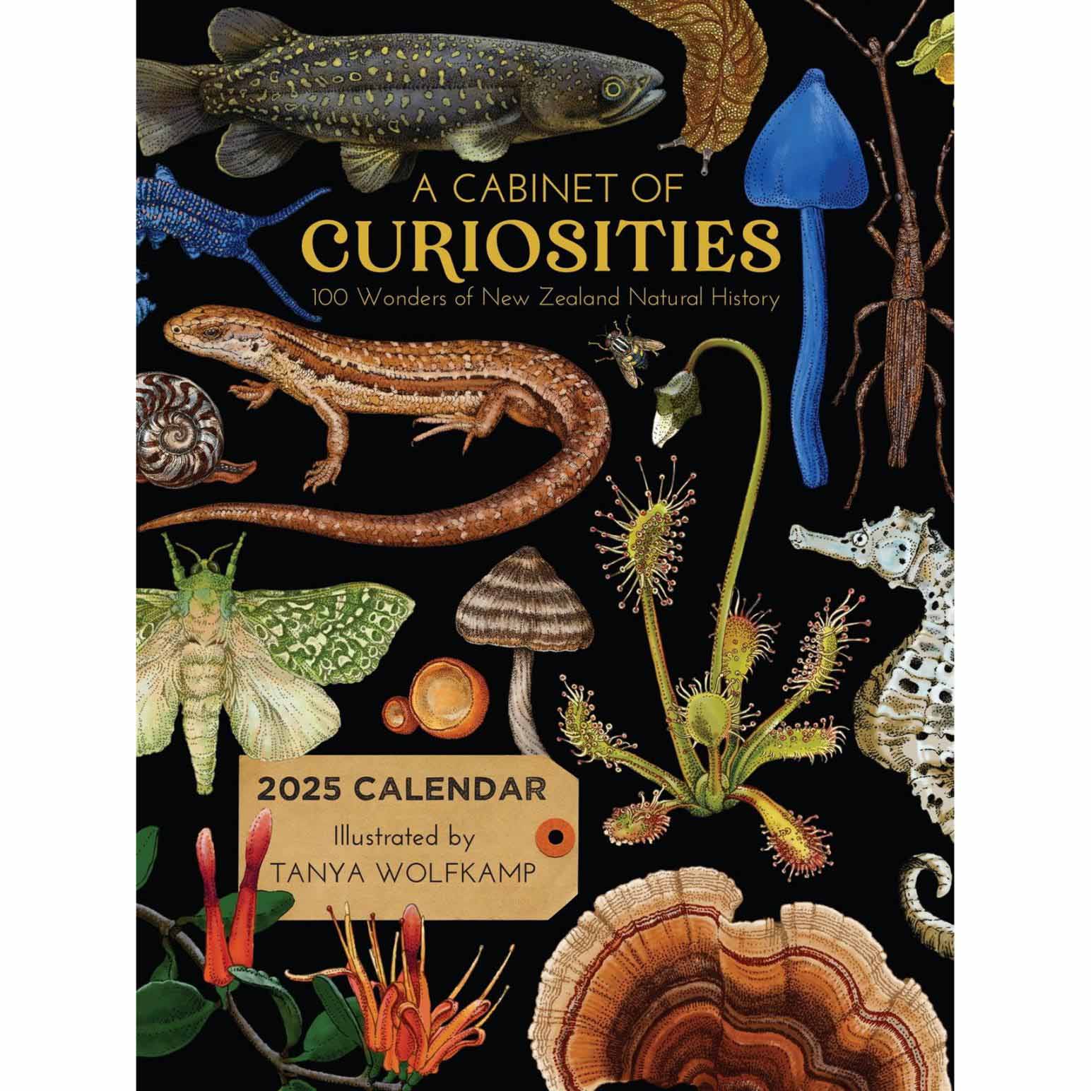 Tanya Wolfkamp A Cabinet of Curiosities 2025 Wall Calendar