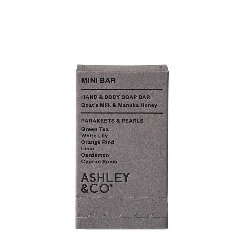 Ashley & Co Mini Bar 90g