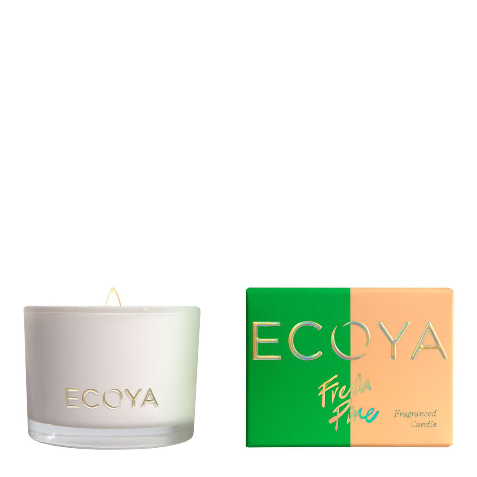 ECOYA Fresh Pine Monty Candle Limited Edition