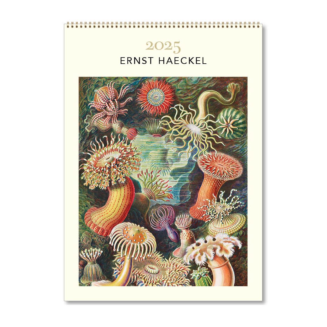 Ernst Haeckel HS Medium Calendar