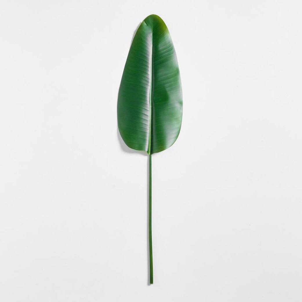 Pottery Barn Faux Banana Palm Branch Green