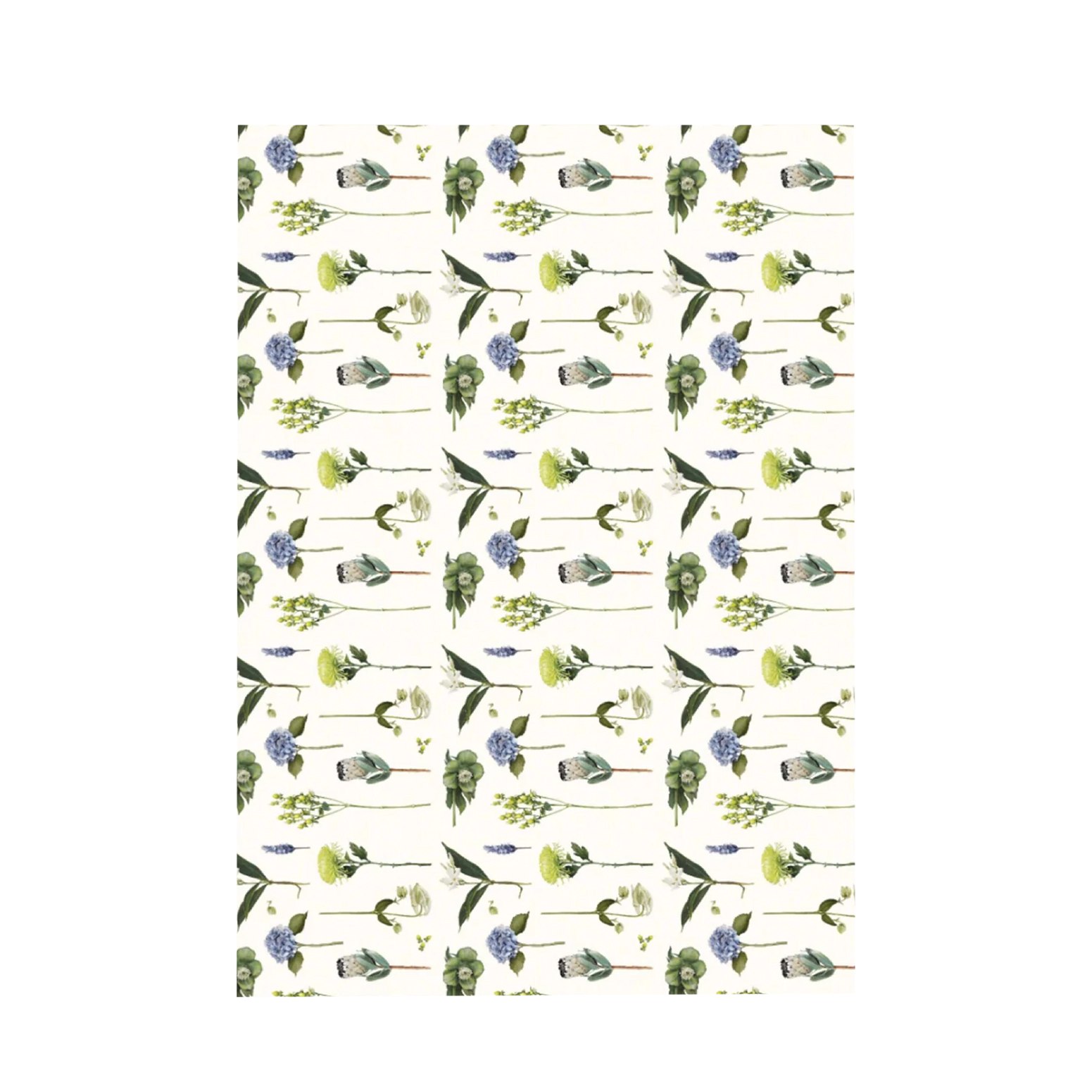 Father Rabbit Flowers Wrapping Paper