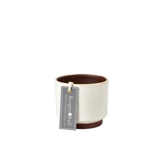 Burgon & Ball Malibu Succulent Pot Cream