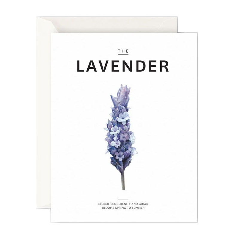 Father Rabbit Stationery The Lavender Card