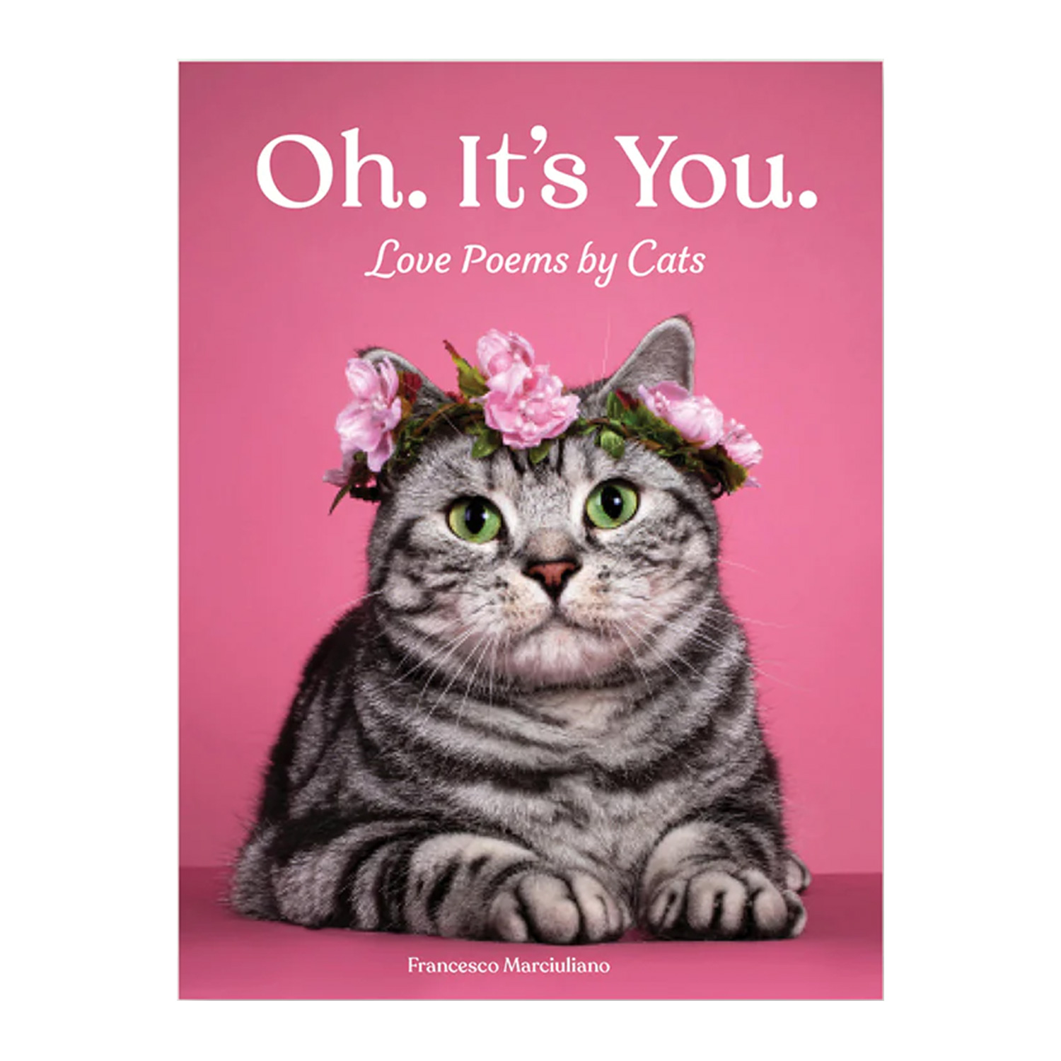 Oh. It's You. Love Poems by Cats