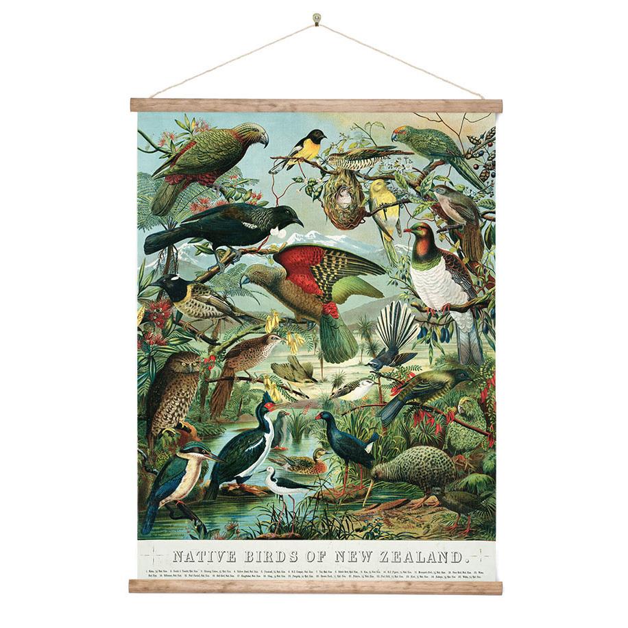 NZ Native Birds Wall Chart