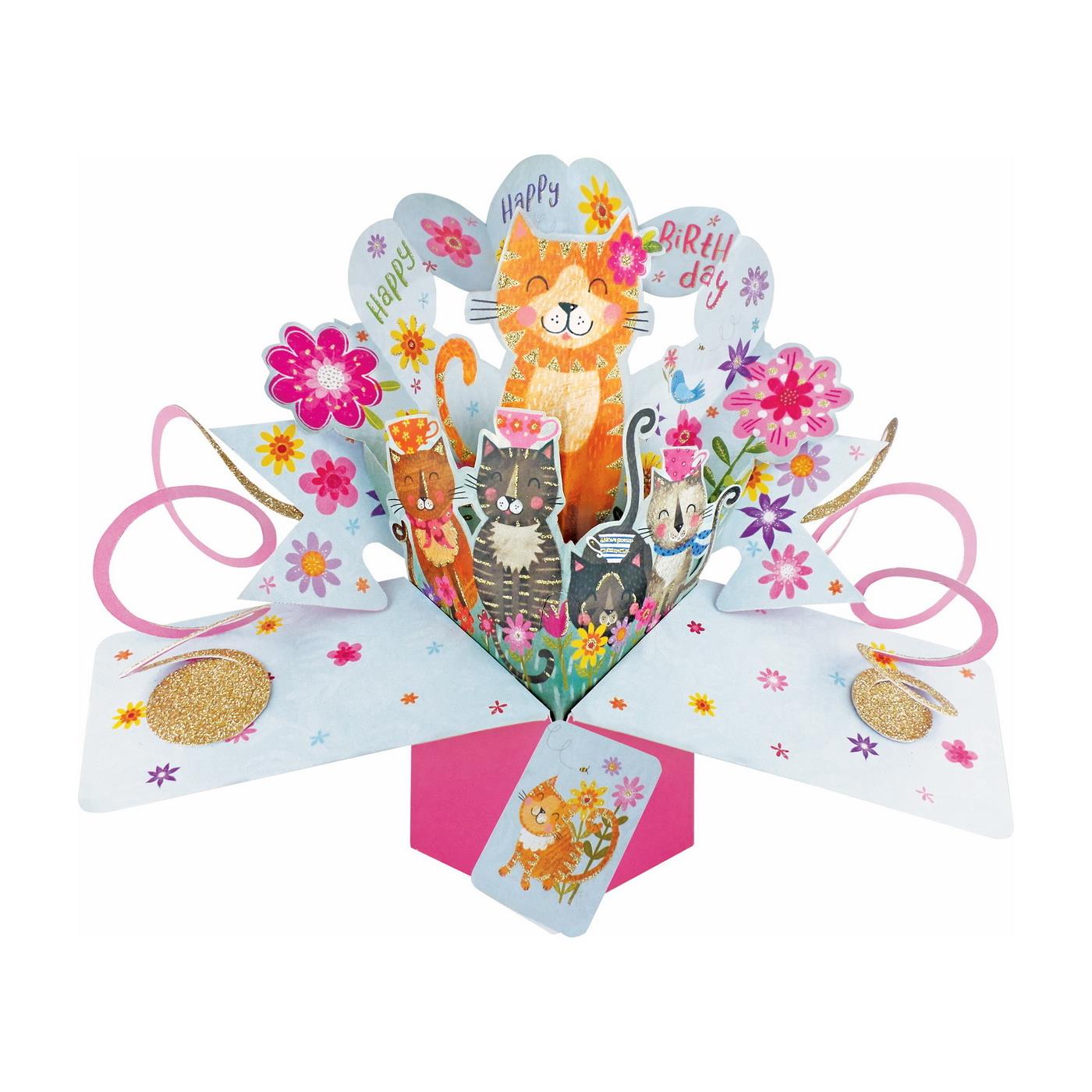 Antics Happy Happy Birthday Cats Pop Up Card