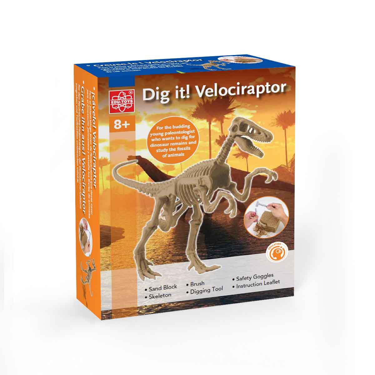 Edu-Toys Dig It Velociraptor