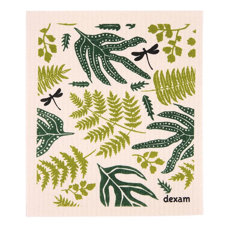 Swedish Dishcloth Fern