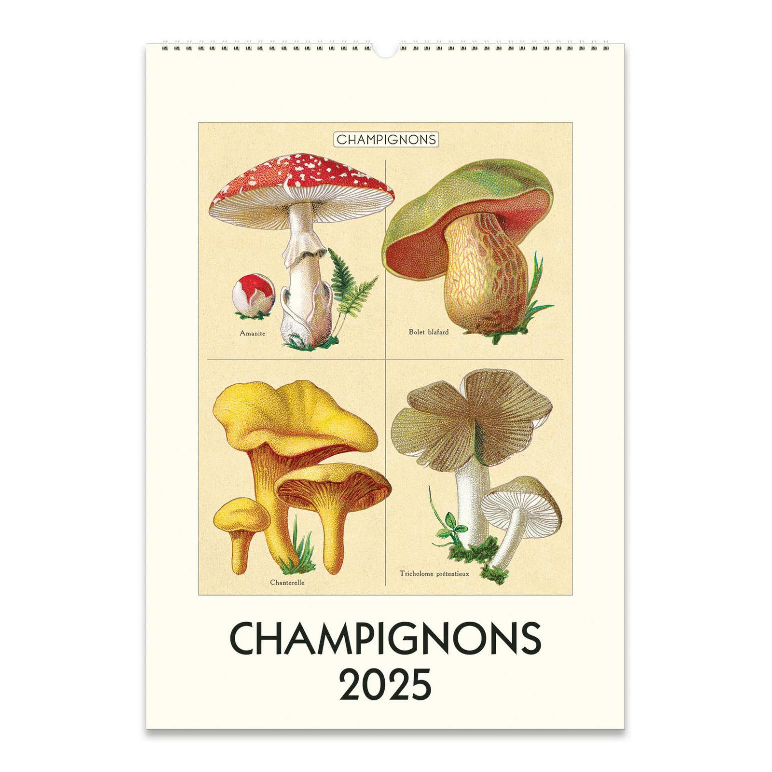 Cavallini Champignons 2025 Wall Calendar