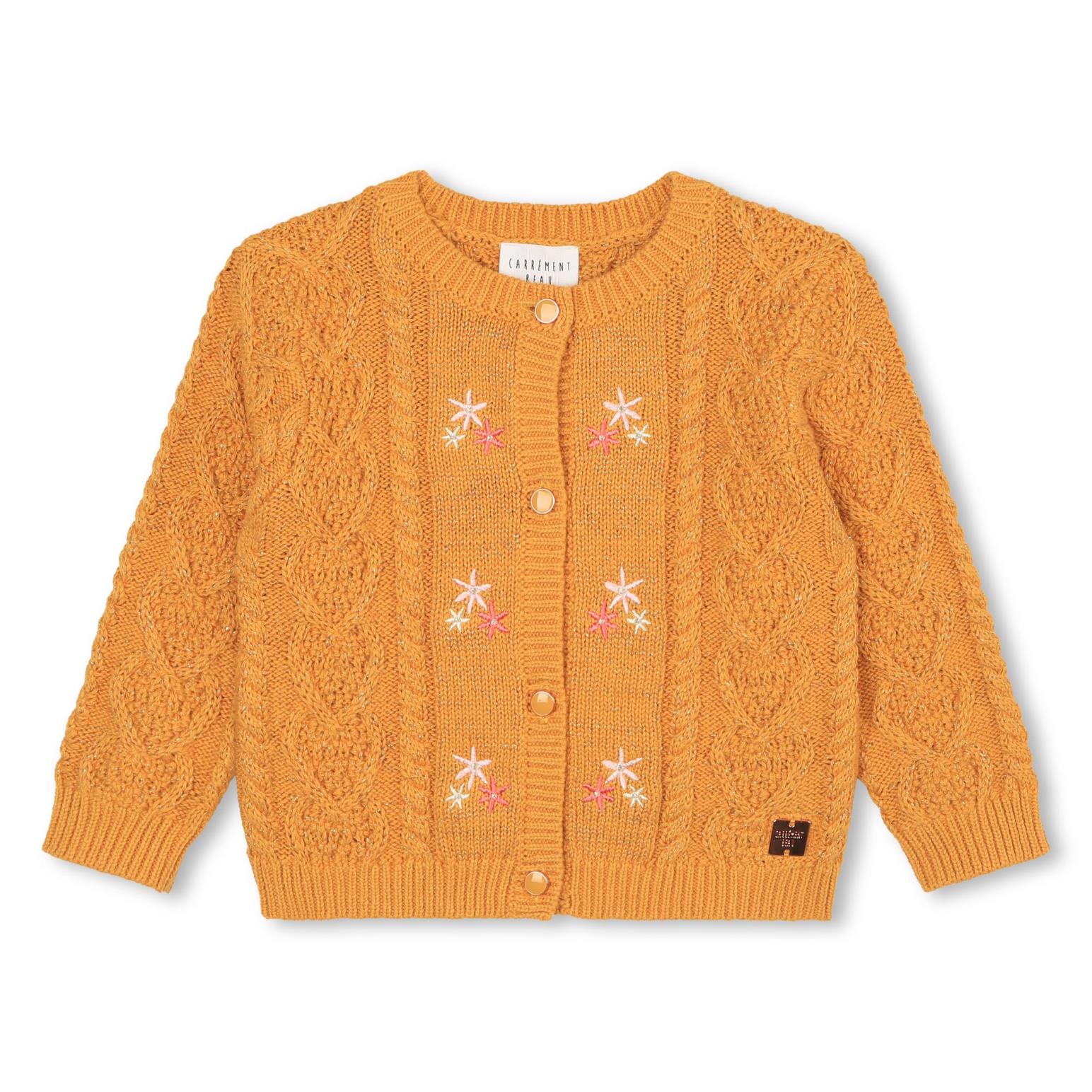 Carrement Beau Knitted Cardigan 3 - 18M