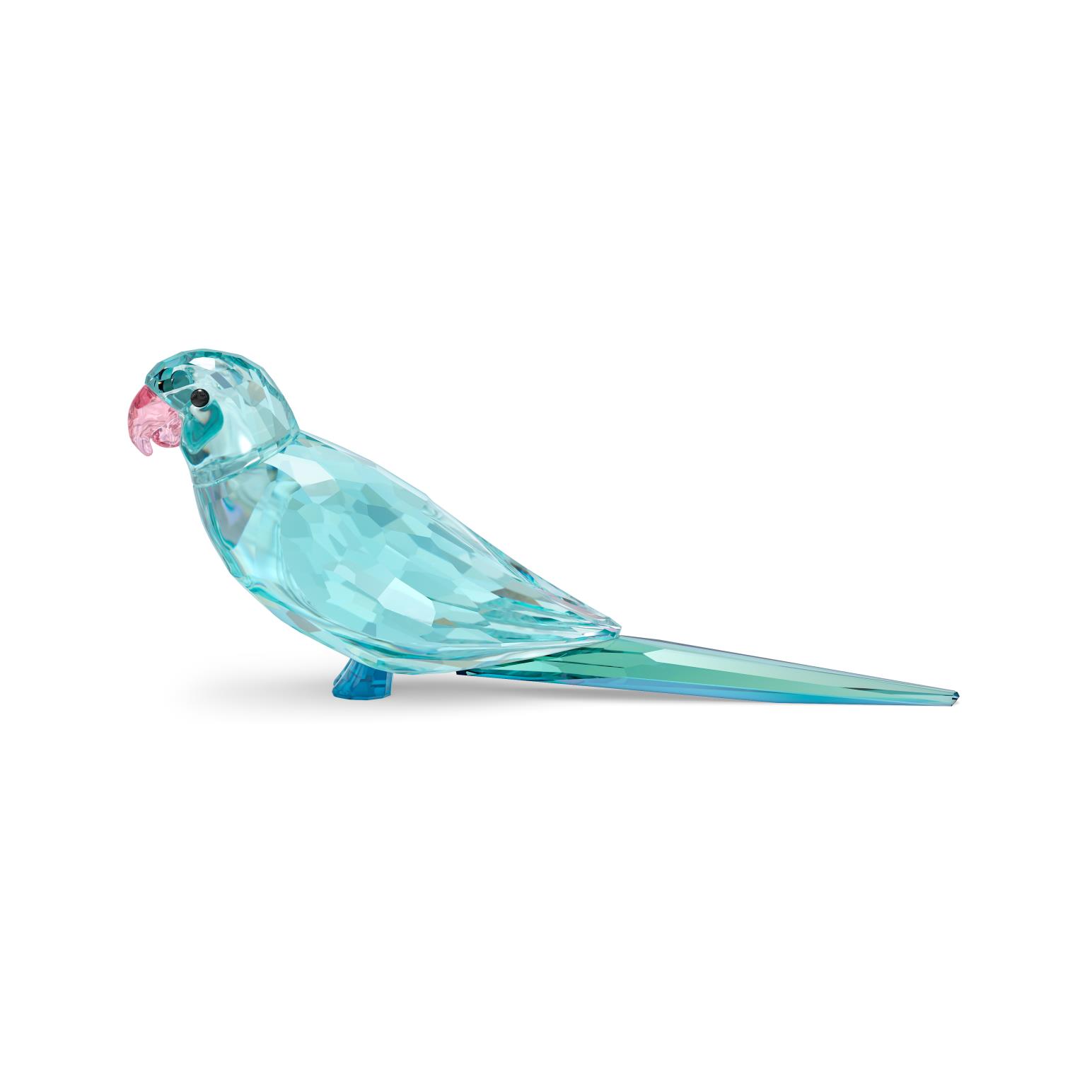 Swarovski Jungle Beats - Blue Parakeet Paco