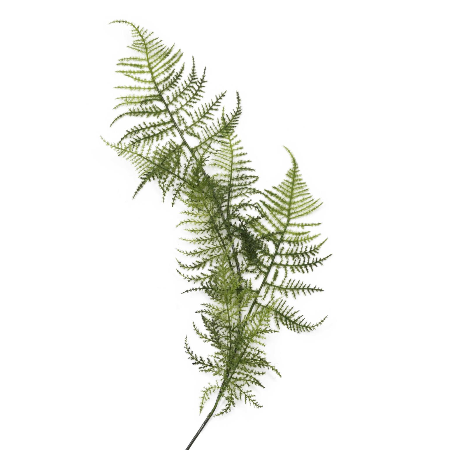 Leather Fern Spray