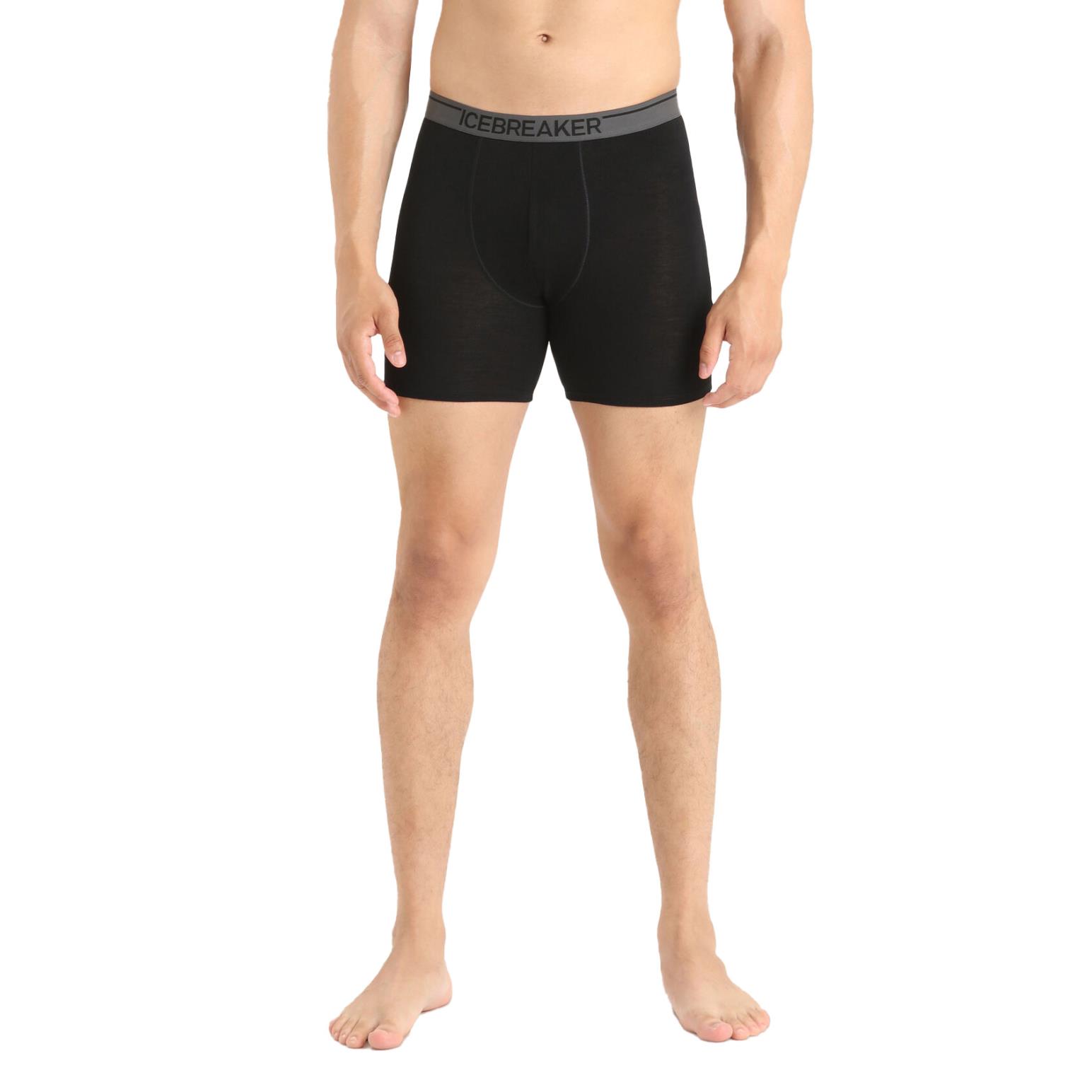 Icebreaker Mens Anatomica Long Boxers