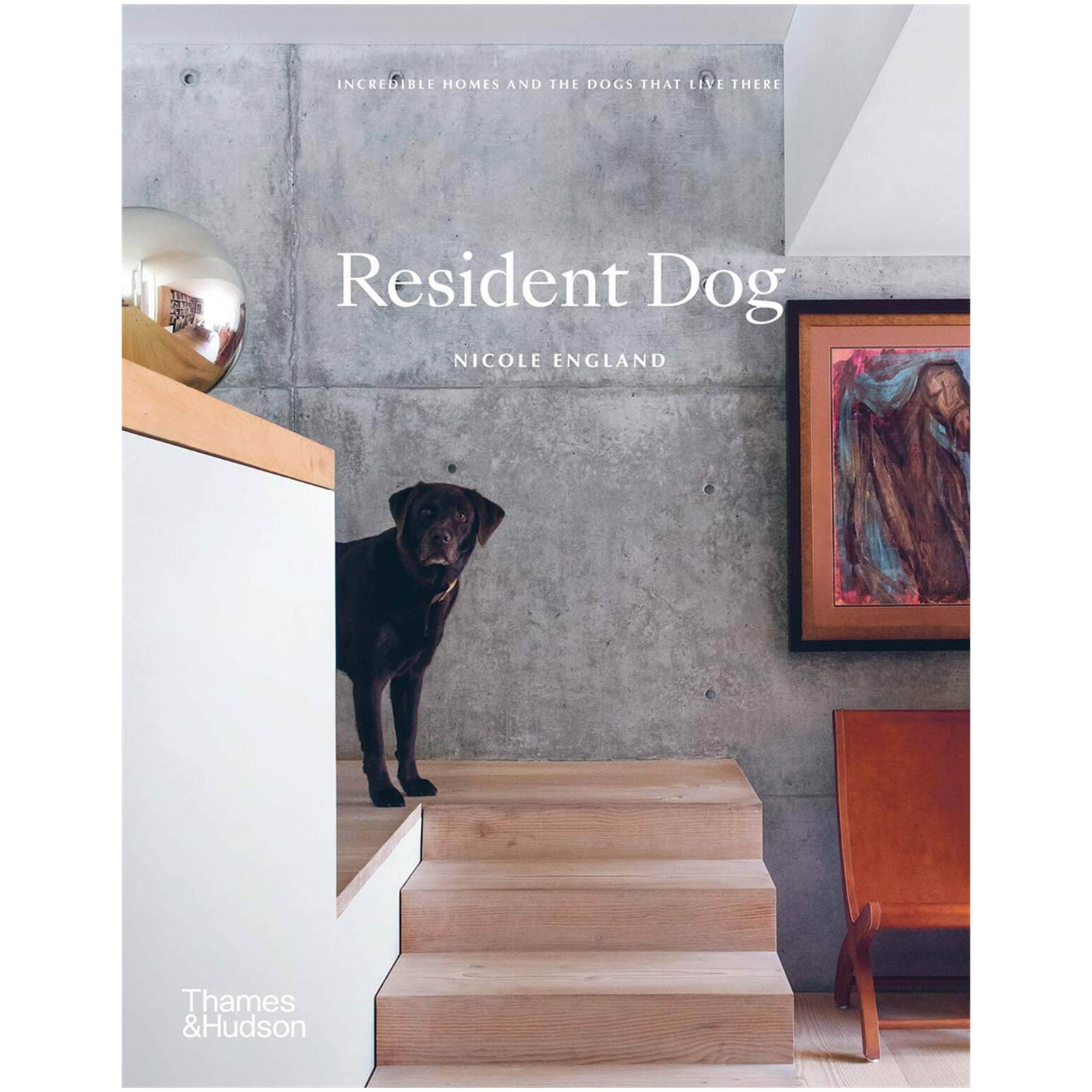 Resident Dog: Incredible Homes & the Dogs That Live There