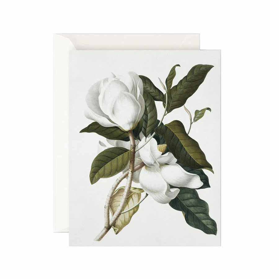 Father Rabbit Stationery Gardenia Card