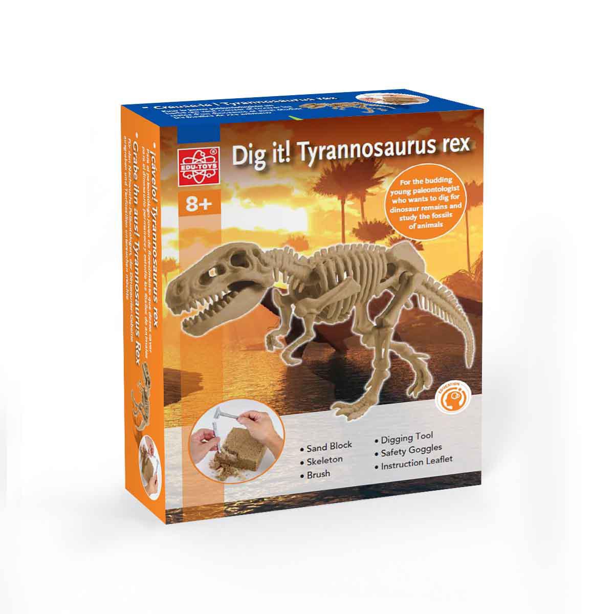 Edu-Toys Dig It T Rex